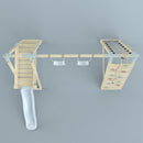 PolarPlay Klettergerüst Frosch