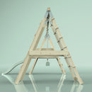 PolarPlay Klettergerüst Frosch