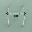 REBO Schaukel Löwenzahn